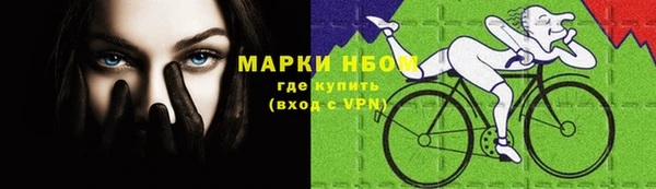 ГАЛЛЮЦИНОГЕННЫЕ ГРИБЫ Сосновка