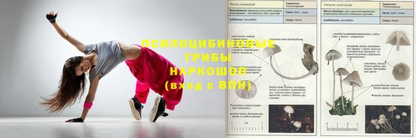 ГАЛЛЮЦИНОГЕННЫЕ ГРИБЫ Сосновка