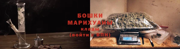 ГАЛЛЮЦИНОГЕННЫЕ ГРИБЫ Сосновка