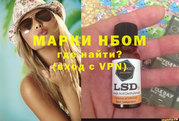 ГАЛЛЮЦИНОГЕННЫЕ ГРИБЫ Сосновка
