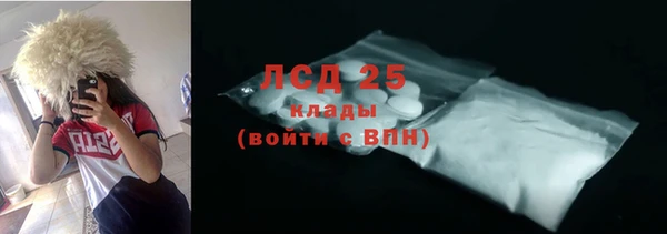 спиды Сосновый Бор