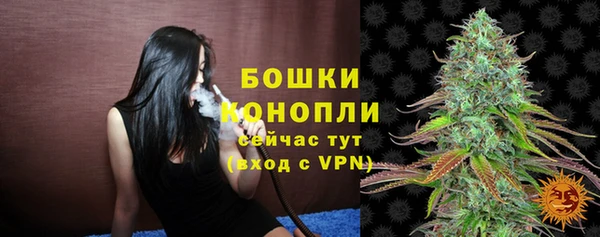 ГАЛЛЮЦИНОГЕННЫЕ ГРИБЫ Сосновка