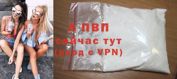 ГАЛЛЮЦИНОГЕННЫЕ ГРИБЫ Сосновка
